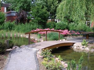 Holzbrücke über Teich Korte Garten- und Landschaftsbau