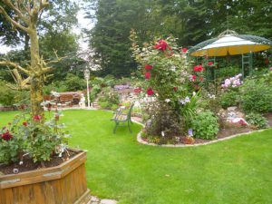 Gartengestaltung Rosen Korte Garten- und Landschaftsbau